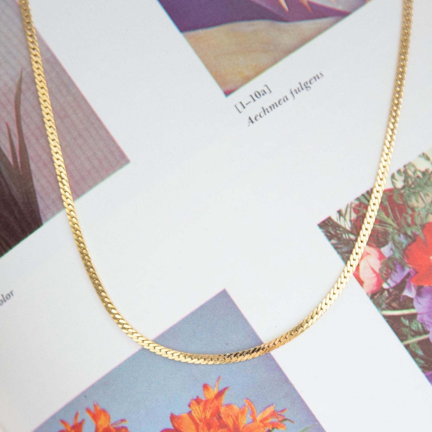 Vintage Gold Flat Snake Chain Necklace