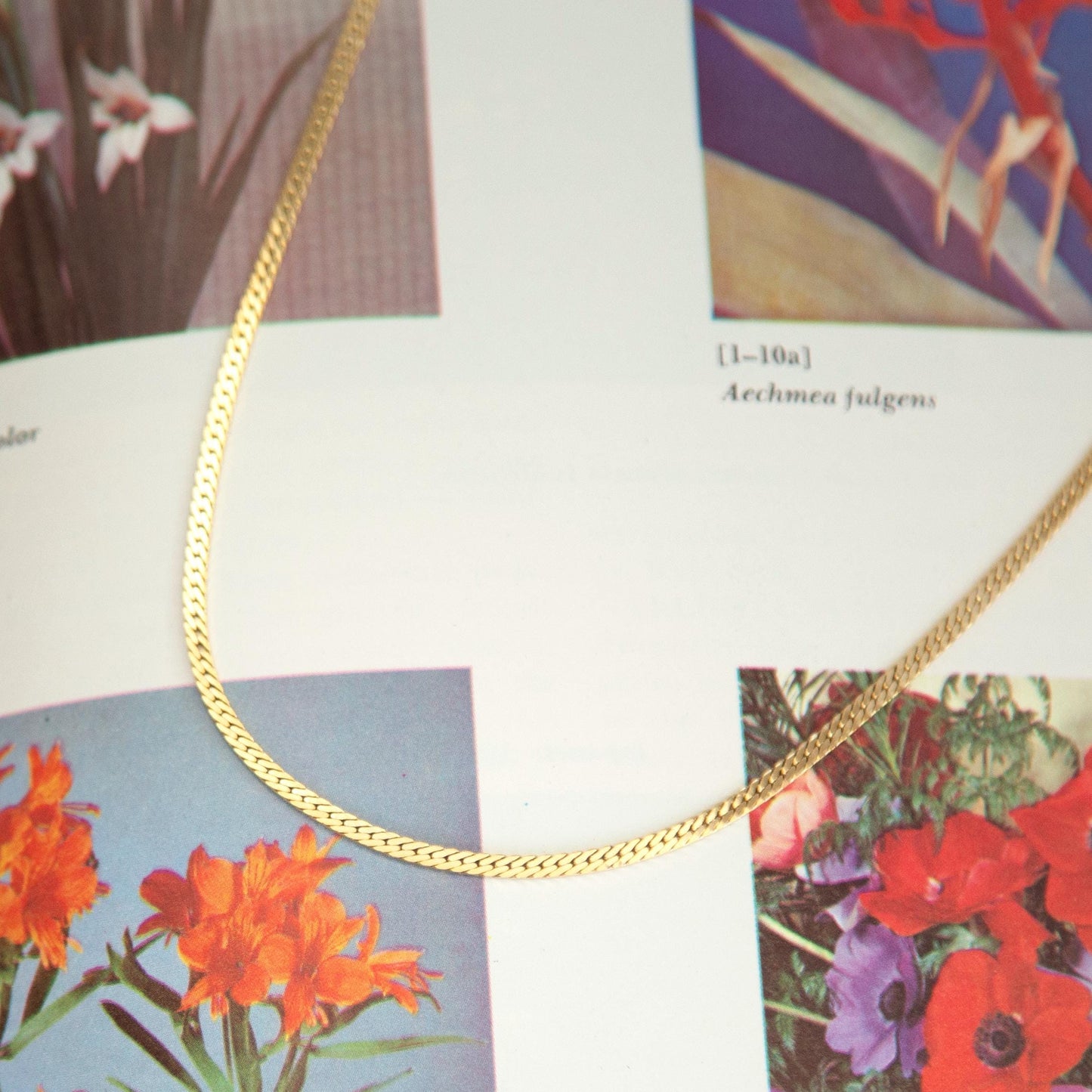 Vintage Gold Flat Snake Chain Necklace