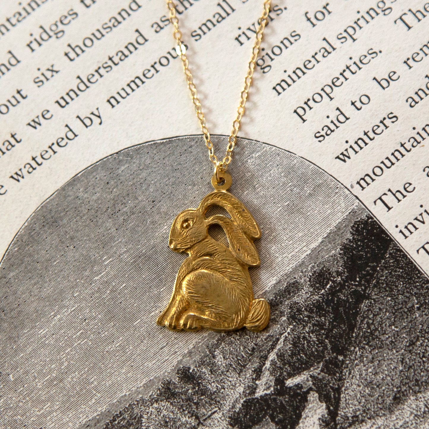 Vintage Rabbit Charm Necklace - Brass & Gold